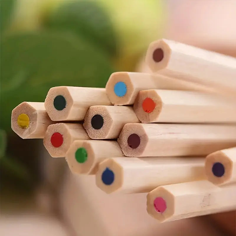 12 crayons de couleur de bois